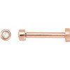 14K Rose .01 CT Rose-Cut Natural Diamond Press Fit Back Stud Earring
