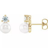 Pearl Earring Mountings