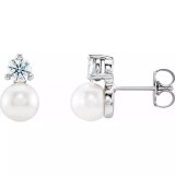 New Pearl Earrings