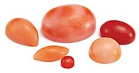Coral Cabochon