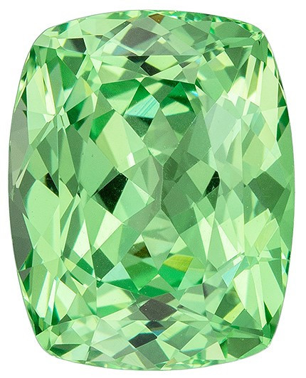GREENDALE GARNET レディース トレーナー F ビリヤードグリーン 1.12-Carat Tsavorite Garnet - Earth's Treasury