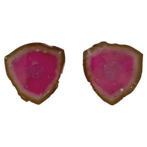 Well Matched Watermelon Tourmaline Gem Pair - Slice Cut - 18.73 carats - Vibrant Colors -