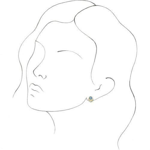 Genuine Aquamarine Earrings in 14 Karat Yellow Gold Aquamarine & 1/8 Carat Diamond Earrings