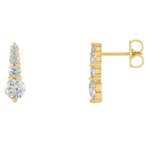 14K Yellow 1 CTW Natural Diamond Graduated Earrings