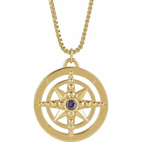 14K Yellow Natural Iolite Compass 20" Necklace