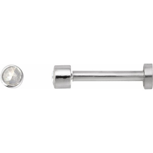 14K White .03 CT Rose-Cut Natural Diamond Press Fit Back Stud Earring