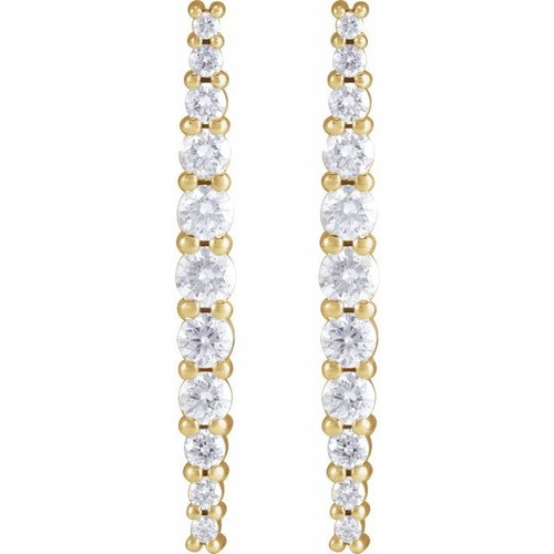14K Yellow 3/8 CTW Natural Diamond Earrings