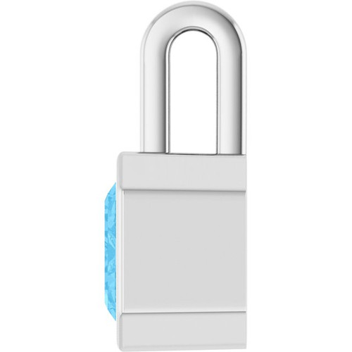 14K White Natural Swiss Blue Topaz Pendant