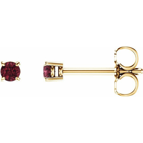 4-Prong Stud 14 Karat Yellow Gold 2.5mm Round Earrings