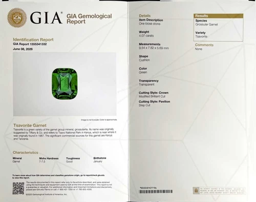 Vivid Intense Green Rectangular Cushion Tsavorite Gemstone – 4.07 Carat, Unheated, GIA Certified