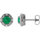 Platinum 4 mm Natural Emerald and 0.10 Carat Natural Diamond Halo Style Earrings