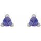 Sterling Silver 5 mm Trillion Natural Tanzanite V Prong Earrings