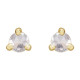 14 Karat Yellow Gold .08 Carat Rose Cut Natural Diamond 3 Prong Claw Earrings