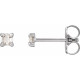 Platinum .05 Carat Rose Cut Natural Diamond 4 Prong Claw Earrings