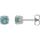 Platinum 5.5 mm Natural Aquamarine Floral Earrings