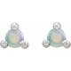 Platinum 3.5 mm Round Natural White Opal Earrings