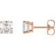 14 Karat Rose Gold 0.50 Carat Natural Diamond Earrings