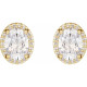 14 Karat Yellow Gold 0.50 Carat Natural Diamond Halo Style Earrings