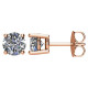 4 Prong Stud 14 Karat Rose Gold 0.50 Carat Total Weight Diamond Earrings