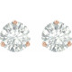 Created Moissanite Earrings in 14 Karat Rose Gold 4.5 mm Round Forever One Moissanite Earrings