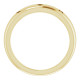 14 Karat Yellow Gold .015 Carat Natural Diamond Pierced Ring