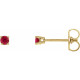 14 Karat Yellow Gold 2.5 mm Lab Grown Ruby Stud Earrings with Friction Post