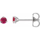 Platinum 3 mm Natural Ruby Earrings