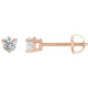 14 Karat Rose Gold 0.33 Carat Natural Diamond Threaded Post Earrings