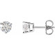 14 Karat White Gold 1 Carat Natural Diamond Friction Post Earrings