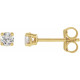 14K Yellow 1/4 CTW Lab-Grown Diamond Stud Earrings