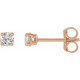 14K Rose 0.25 Carat Lab Grown Diamond Stud Earrings