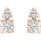 14 Karat Rose Gold 0.50 Carat Lab Grown Diamond Earrings