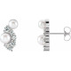 Platinum Akoya Cultured Pearls and 0.5 Carat Diamond Earrings