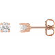 14 Karat Rose Gold 0.50 Carat Natural Diamond Stud Earrings