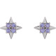 Platinum Natural Tanzanite Celestial Earrings