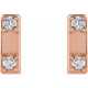 14 Karat Rose Gold .03 Carat Natural Diamond  Two Stone Bar Earrings