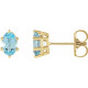 14 Karat Yellow Gold Natural Sky Blue Topaz Earrings