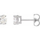 14K White 0.33 Carat Natural Diamond Earrings