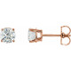 14 Karat Rose Gold 1 Carat Diamond Earrings