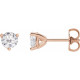 Moissanite Earrings in 14 Karat Rose Gold 4.5 mm Round Moissanite Earrings