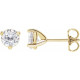 Moissanite Earrings in 14 Karat Yellow Gold 5 mm Round Moissanite Earrings