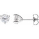 Moissanite Earrings in Sterling Silver 5 mm Round Moissanite Earrings