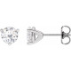 Moissanite Earrings in Platinum 5.5 mm Round Moissanite Earrings