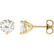 Moissanite Earrings in 14 Karat Yellow Gold 6 mm Round Moissanite Earrings