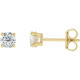 Lab Diamond Stud Earrings in 14 Karat Yellow Gold 0.75 Carat