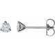 14 Karat White 0.25 Carat Lab Grown Diamond Stud Earrings