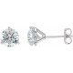 White Diamond Earrings in 14 Karat White Gold 0.25 Carat Diamond Stud Earrings
