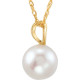 14 Karat Yellow Gold Akoya Pearl 18 inch Pendant