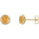 Golden Citrine Earrings in 14 Karat Yellow Gold Citrine & 0.16 Carat Diamond Earrings