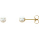 14 Karat Yellow Gold 4 mm Cultured White Akoya Pearl Earrings